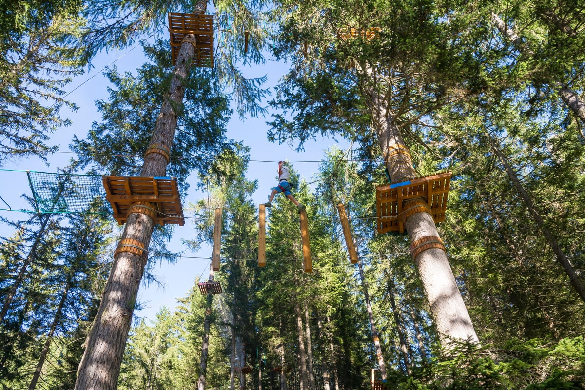 Tree climbing