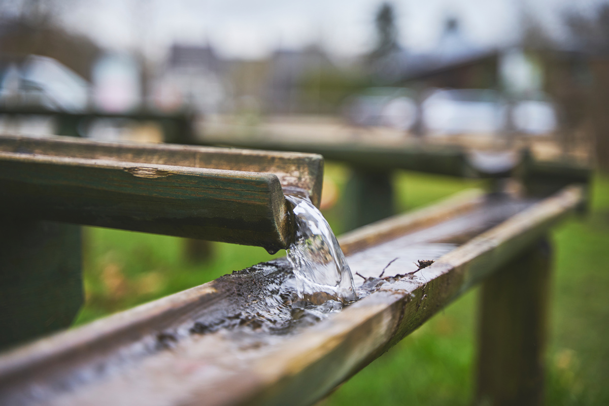 Flowing Water on Bamboo Stalks